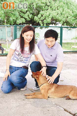 曾華倩和呂方昨日在狗場學習馴狗
